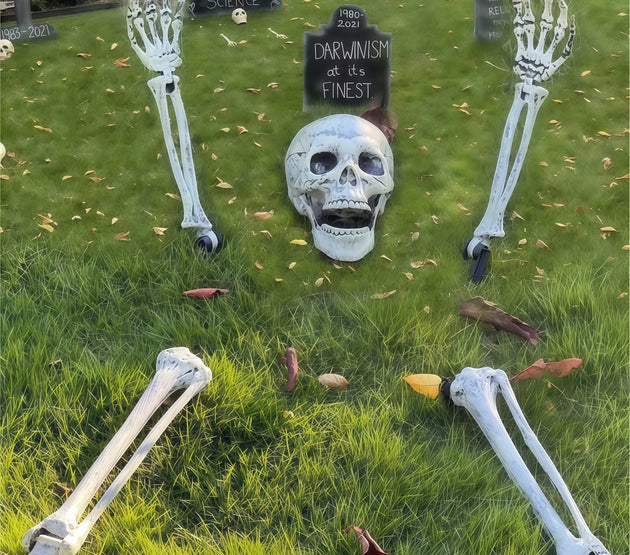 Halloween Skeleton Stake Decorations, Realistic Skeleton Arm Leg Bones, Spooky Yard Garden Halloween Decoration