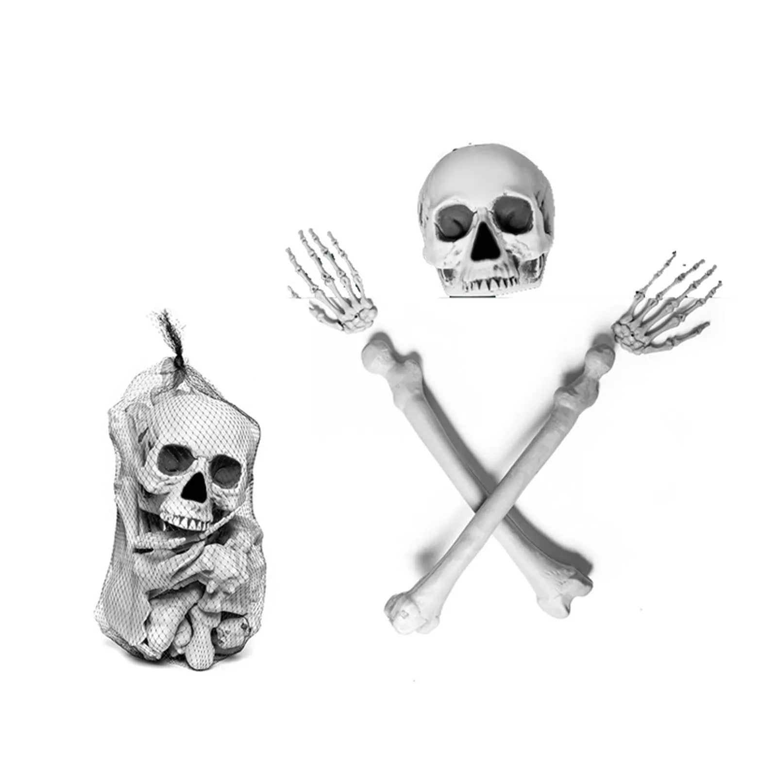 Human Anatomy Skeleton Party Decor - Life-Size Gothic Educational Display for Halloween Classrooms, Haunted Labs