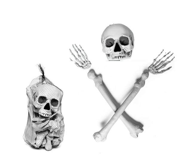 Human Anatomy Skeleton Party Decor - Life-Size Gothic Educational Display for Halloween Classrooms, Haunted Labs
