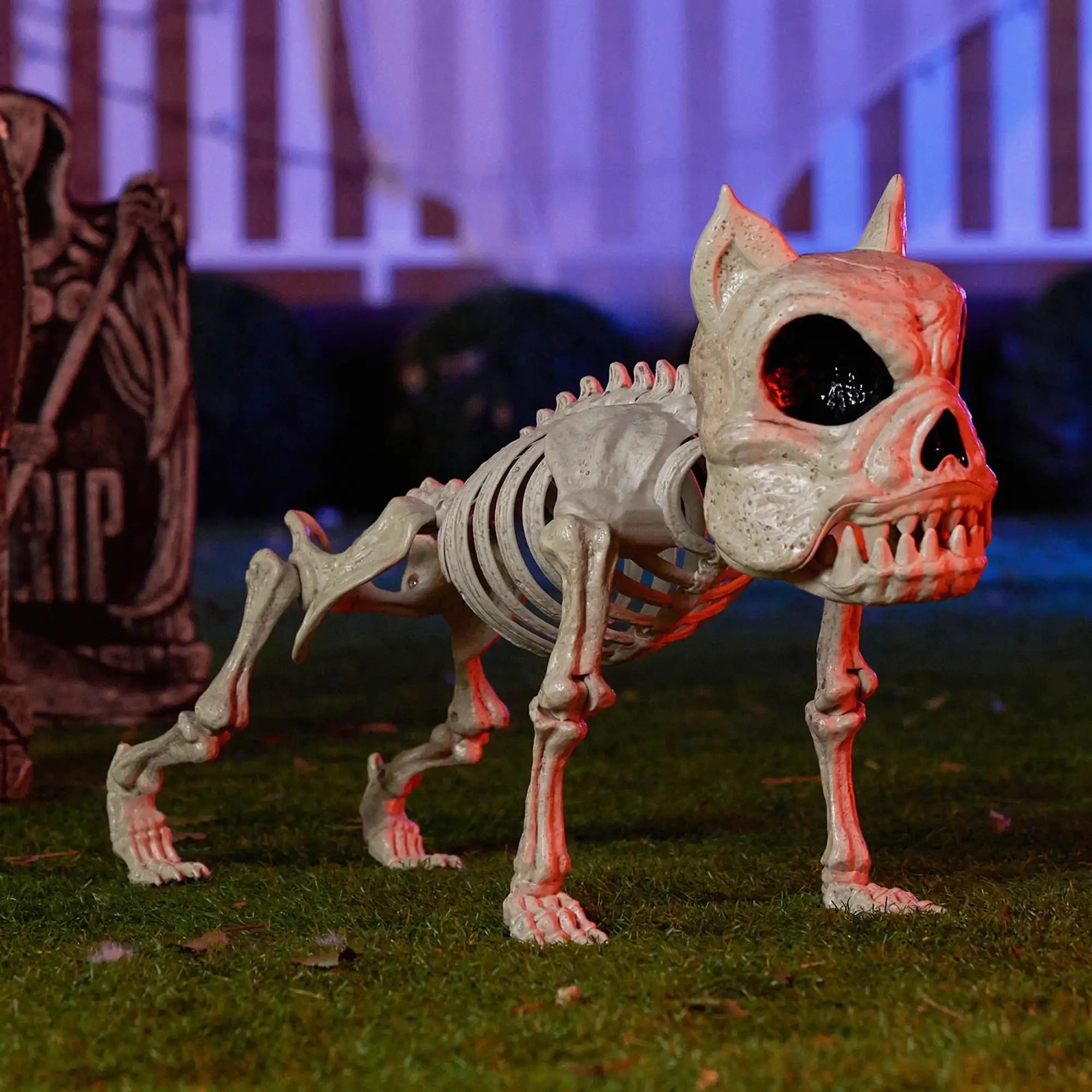 Joyfy 16 Inch Halloween Skeleton Dog Skeleton Pose-N-Stay Plastic Skeleton Bones for Hallowmas Decoration Haunted House Party