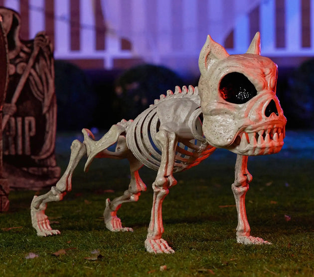 Joyfy 16 Inch Halloween Skeleton Dog Skeleton Pose-N-Stay Plastic Skeleton Bones for Hallowmas Decoration Haunted House Party