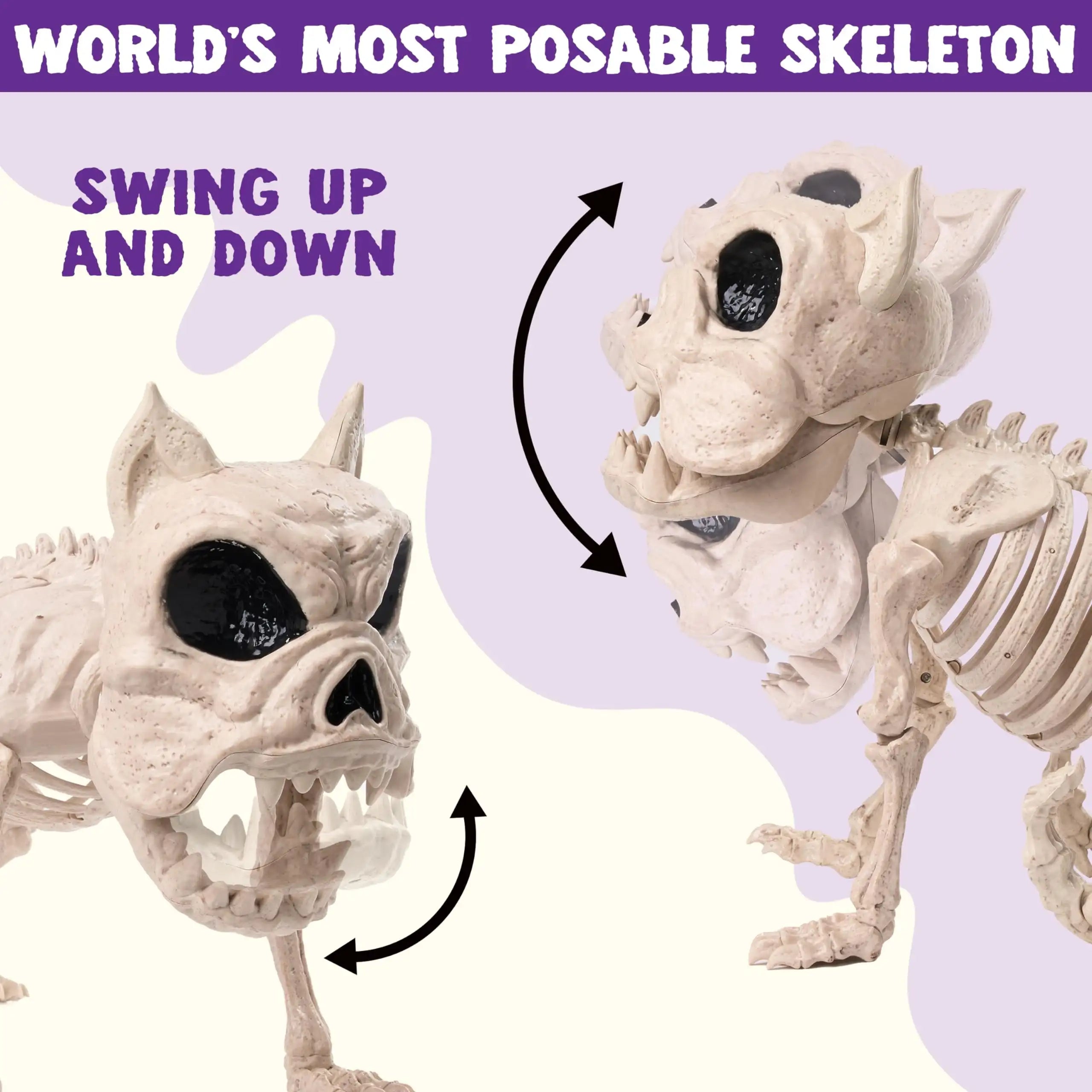 Joyfy 16 Inch Halloween Skeleton Dog Skeleton Pose-N-Stay Plastic Skeleton Bones for Hallowmas Decoration Haunted House Party