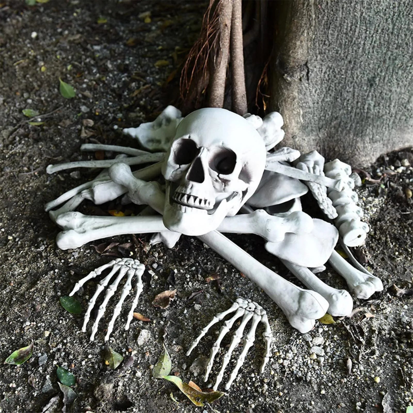 Human Anatomy Skeleton Party Decor - Life-Size Gothic Educational Display for Halloween Classrooms, Haunted Labs