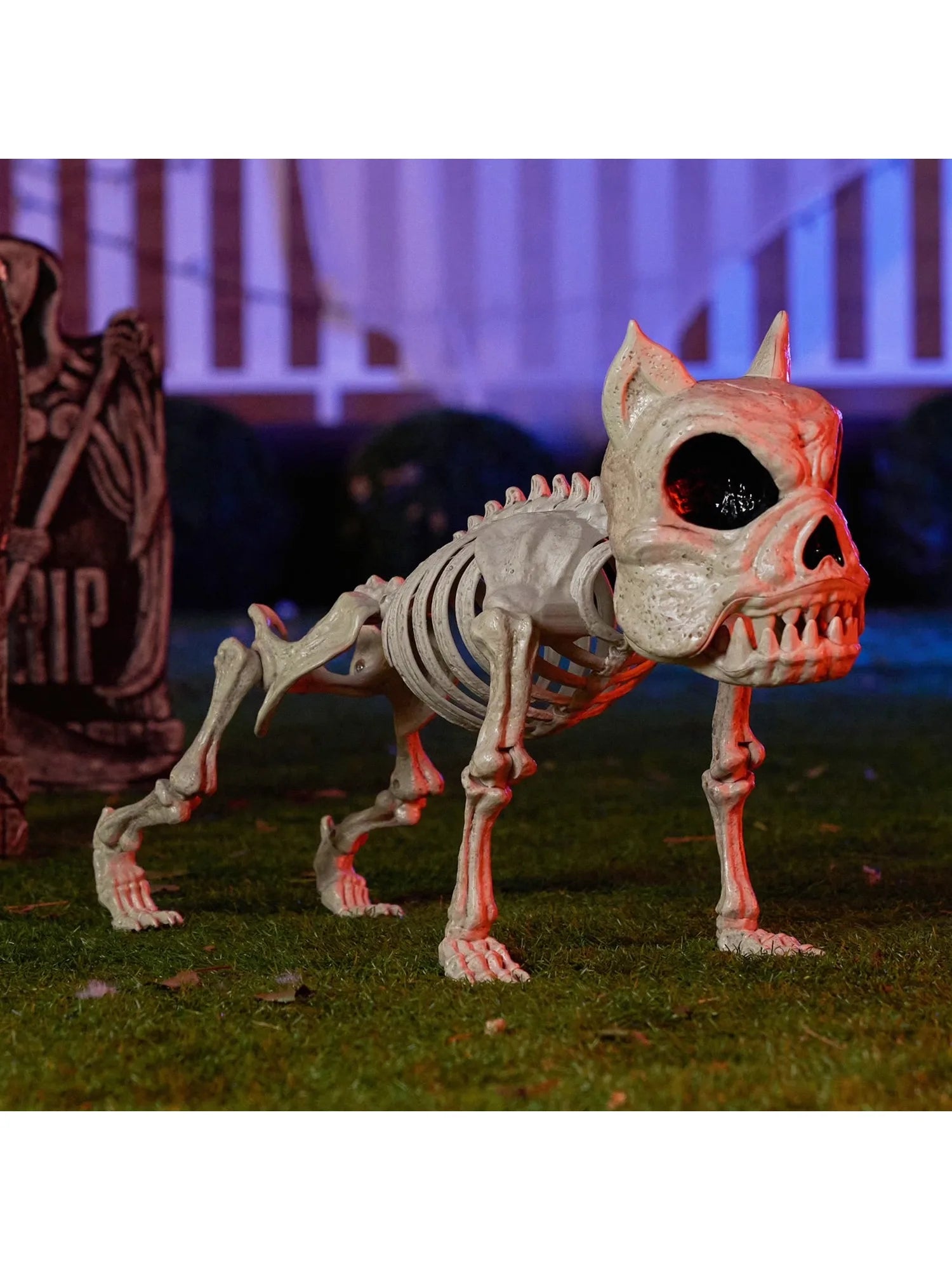 Joyfy 16 Inch Halloween Skeleton Dog Skeleton Pose-N-Stay Plastic Skeleton Bones for Hallowmas Decoration Haunted House Party
